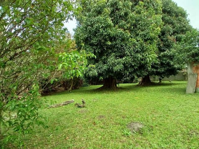 Terreno venda em Região Geográfica Imediata de Florianópolis, São José