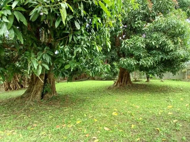 Terreno venda em Região Geográfica Imediata de Florianópolis, São José