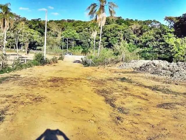 Terreno venda em Região Geográfica Imediata de Florianópolis, São José