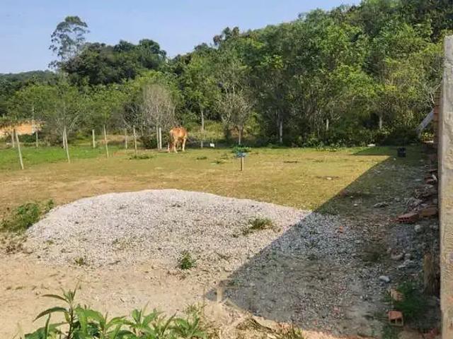 Terreno venda em Região Geográfica Imediata de Florianópolis, São José