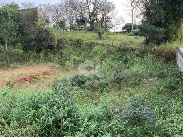 Terreno venda em Região Geográfica Imediata de Florianópolis, São José