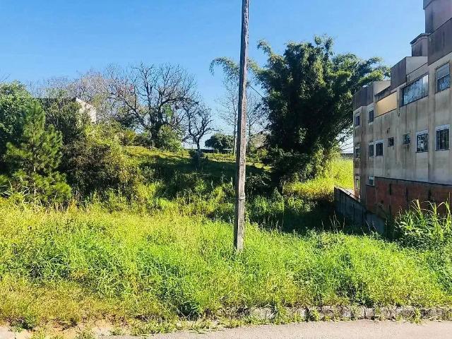Terreno venda em Região Geográfica Imediata de Florianópolis, São José