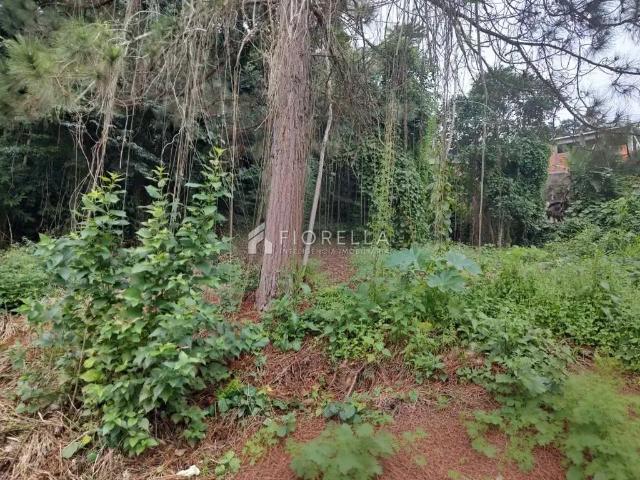 Terreno venda em Região Geográfica Imediata de Florianópolis, São José