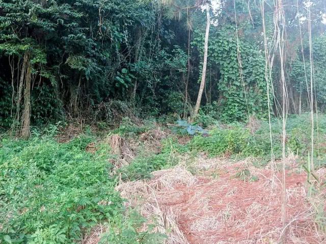Terreno venda em Região Geográfica Imediata de Florianópolis, São José