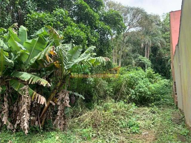 Terreno venda em Região Geográfica Imediata de Florianópolis, São José