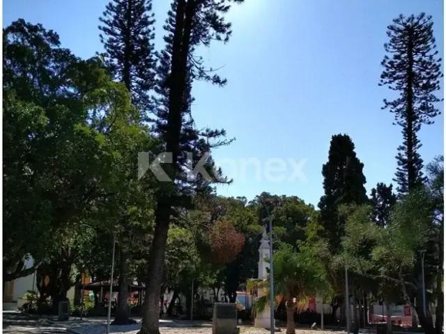 Terreno venda em Região Geográfica Imediata de Florianópolis, São José