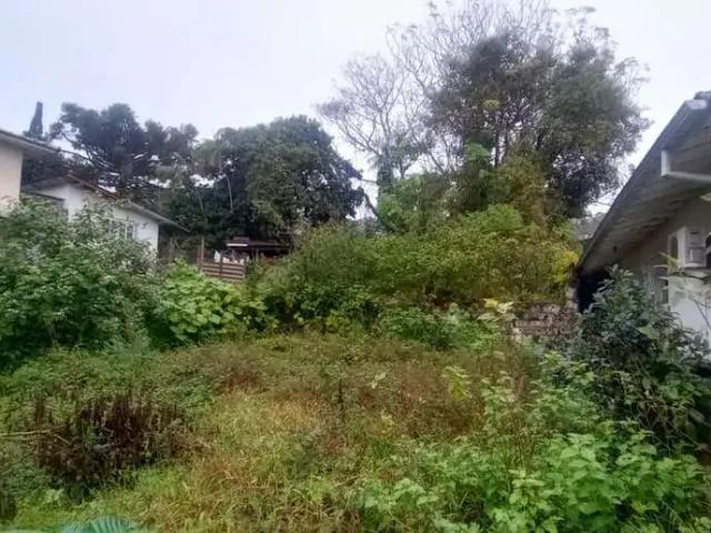 Terreno venda em Região Geográfica Imediata de Florianópolis, São José