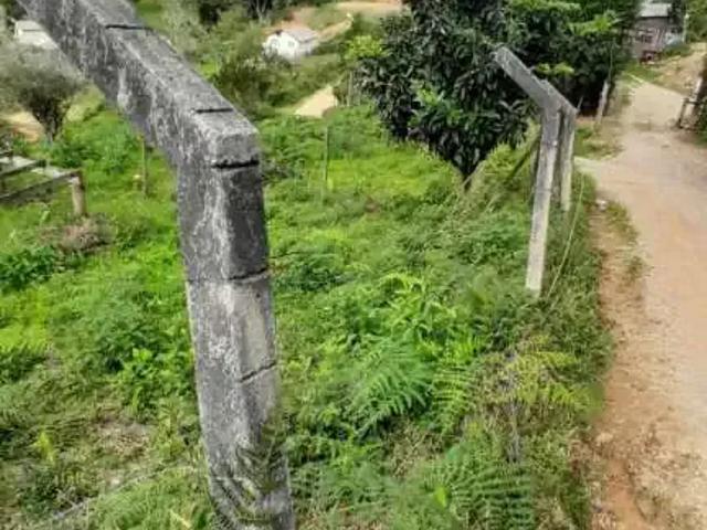 Terreno venda em Região Geográfica Imediata de Florianópolis, São José
