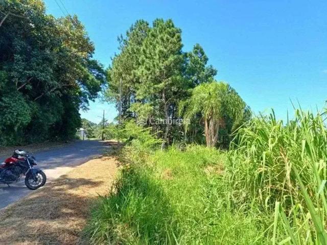 Terreno venda em Região Geográfica Imediata de Florianópolis, São José