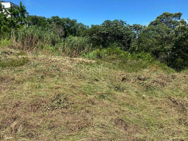 Terreno venda em Região Geográfica Imediata de Florianópolis, São José