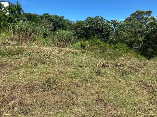 Terreno venda em Região Geográfica Imediata de Florianópolis, São José