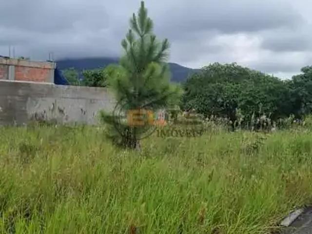 Terreno venda em Região Geográfica Imediata de Florianópolis, São José