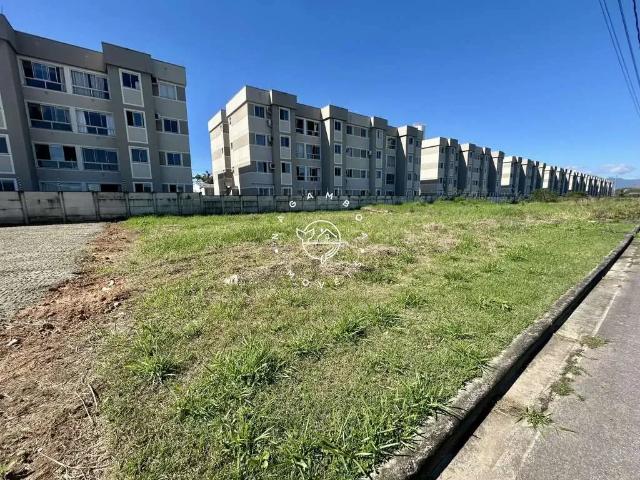 Terreno venda em Região Geográfica Imediata de Florianópolis, São José