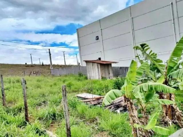 Terreno venda em Região Geográfica Imediata de Florianópolis, São José