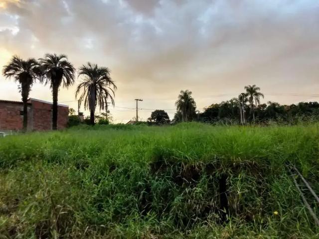 Terreno venda em Região Geográfica Imediata de Novo Hamburgo - São Leopoldo, Região Metropolitana de Porto Alegre