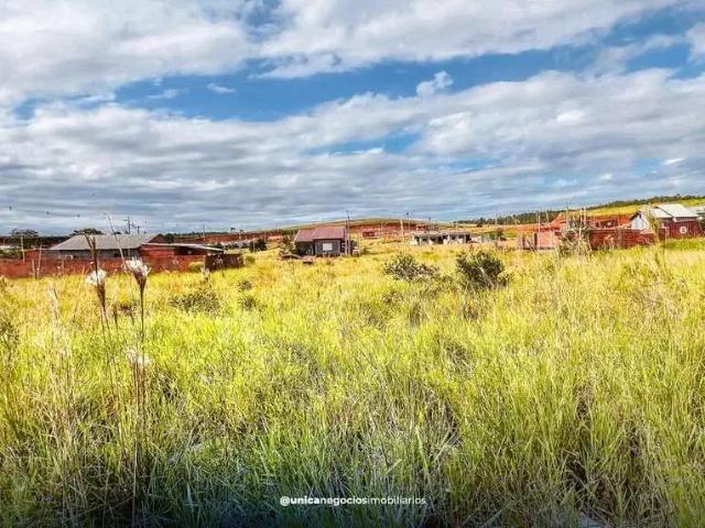 Terreno venda em Região Geográfica Imediata de Novo Hamburgo - São Leopoldo, Região Metropolitana de Porto Alegre