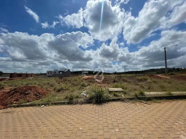 Terreno venda em Região Geográfica Imediata de Novo Hamburgo - São Leopoldo, Região Metropolitana de Porto Alegre