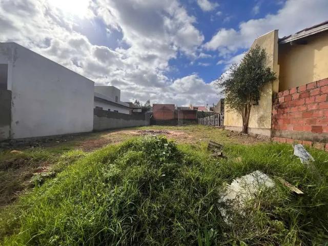 Terreno venda em Região Geográfica Imediata de Novo Hamburgo - São Leopoldo, Região Metropolitana de Porto Alegre