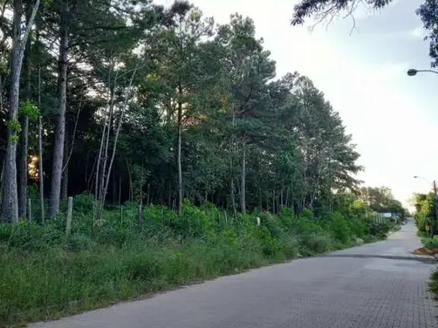 Terreno venda em Região Geográfica Imediata de Novo Hamburgo - São Leopoldo, Região Metropolitana de Porto Alegre