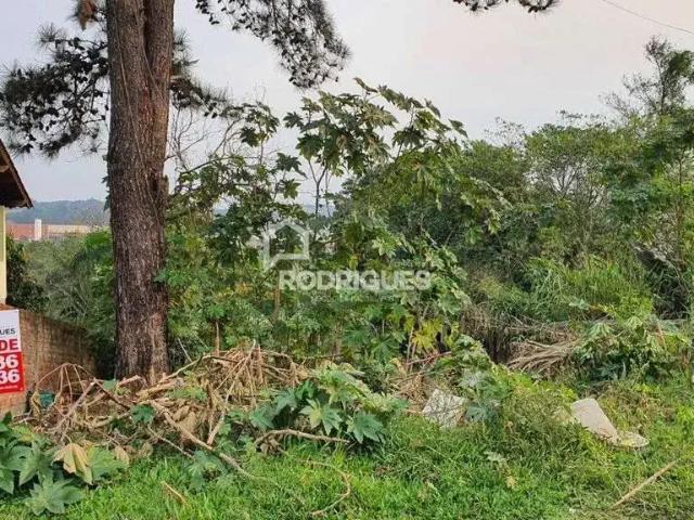 Terreno venda em Região Geográfica Imediata de Novo Hamburgo - São Leopoldo, Região Metropolitana de Porto Alegre