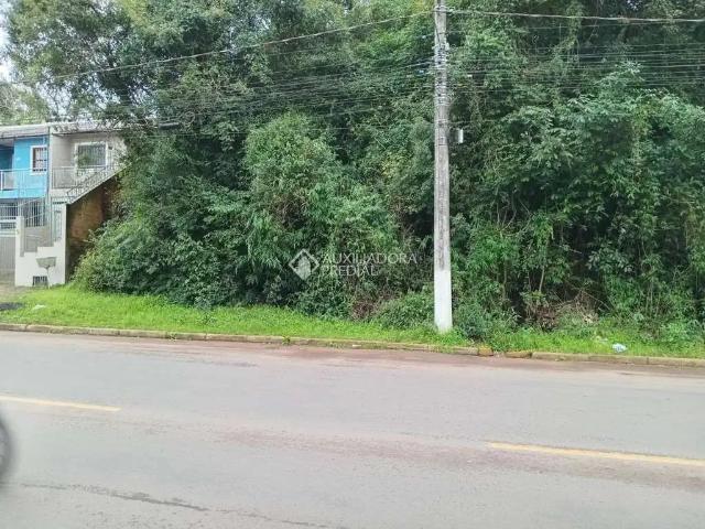 Terreno venda em São Leopoldo
