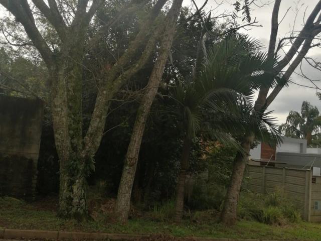 Terreno venda em São Leopoldo