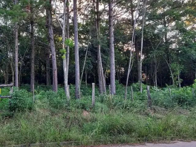 Terreno venda em Região Geográfica Imediata de Novo Hamburgo - São Leopoldo, Região Metropolitana de Porto Alegre