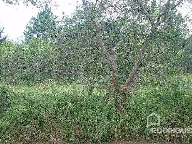 Terreno venda em Região Geográfica Imediata de Novo Hamburgo - São Leopoldo, Região Metropolitana de Porto Alegre