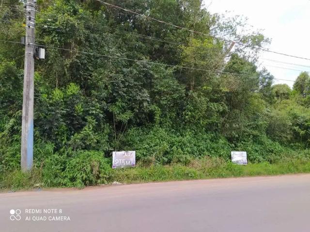 Terreno venda em Região Geográfica Imediata de Novo Hamburgo - São Leopoldo, Região Metropolitana de Porto Alegre