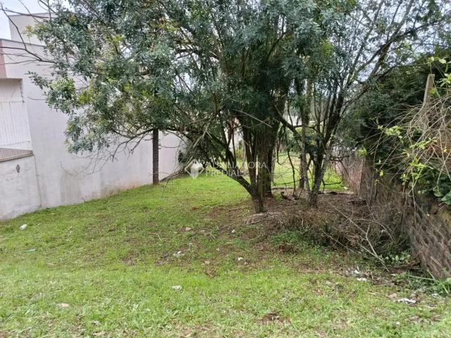 Terreno venda em São Leopoldo