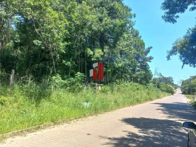 Terreno venda em São Leopoldo