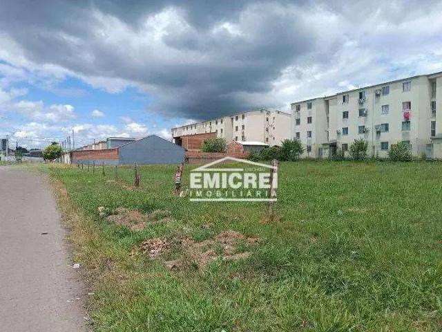 Terreno venda em Região Geográfica Imediata de Novo Hamburgo - São Leopoldo, Região Metropolitana de Porto Alegre