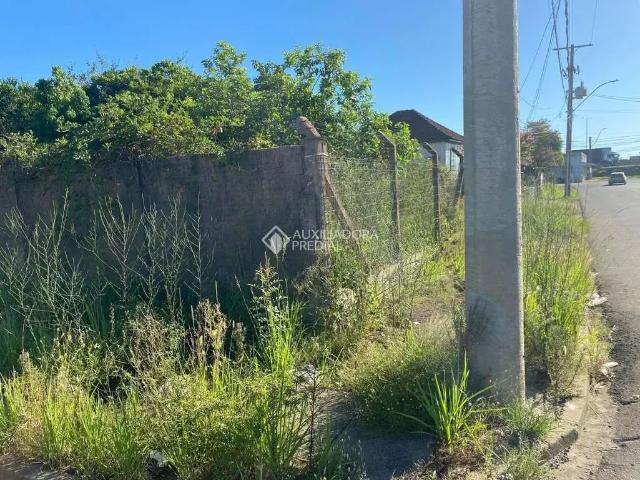 Terreno venda em São Leopoldo