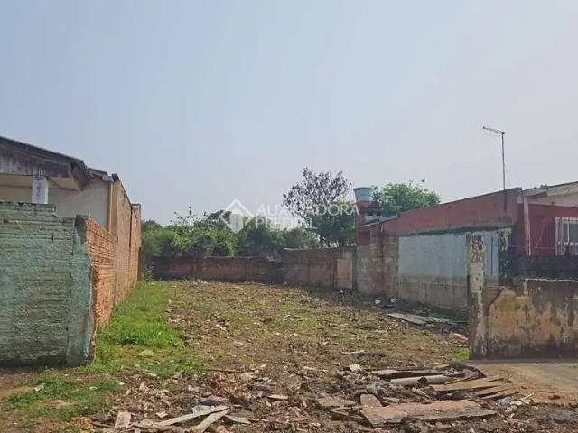 Terreno venda em Vila Antonio Leite, São Leopoldo