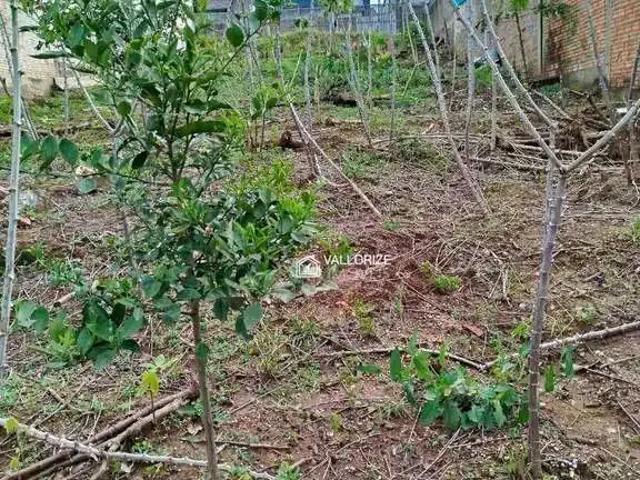 Terreno venda em Região Geográfica Imediata de Novo Hamburgo - São Leopoldo, Região Metropolitana de Porto Alegre