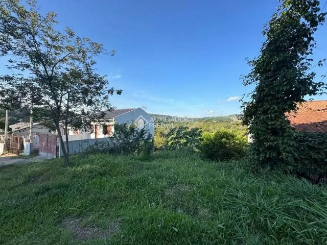 Terreno venda em Região Geográfica Imediata de Novo Hamburgo - São Leopoldo, Região Metropolitana de Porto Alegre