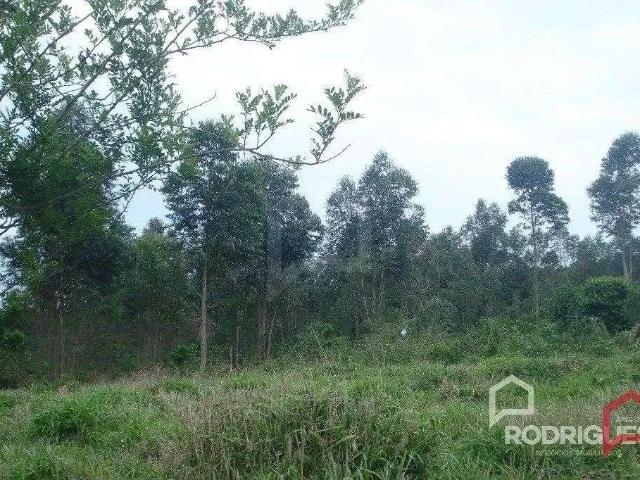 Terreno venda em Região Geográfica Imediata de Novo Hamburgo - São Leopoldo, Região Metropolitana de Porto Alegre