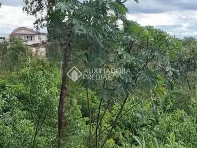 Terreno venda em Loteamento Novo Acácias, São Leopoldo