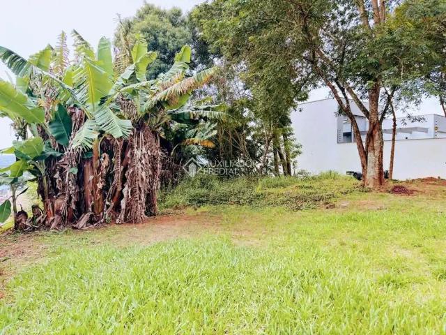 Terreno venda em Loteamento Novo Acácias, São Leopoldo