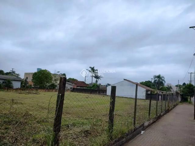 Terreno venda em São Leopoldo