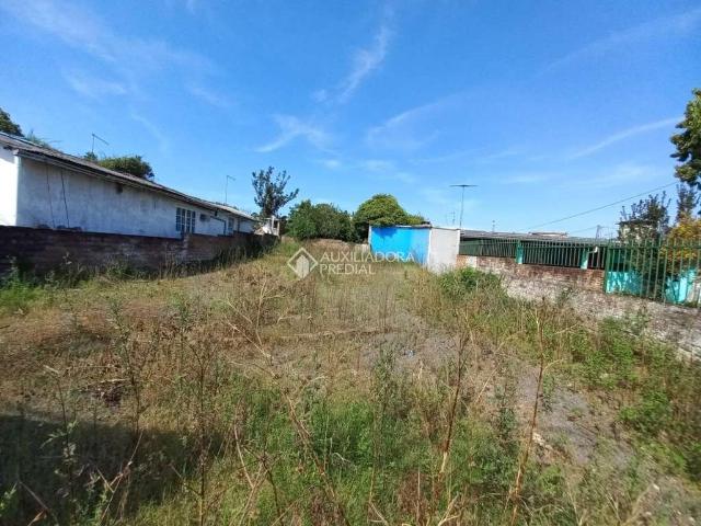 Terreno venda em São Leopoldo