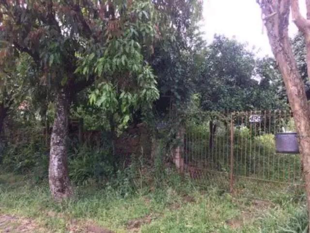 Terreno venda em Região Geográfica Imediata de Novo Hamburgo - São Leopoldo, Região Metropolitana de Porto Alegre
