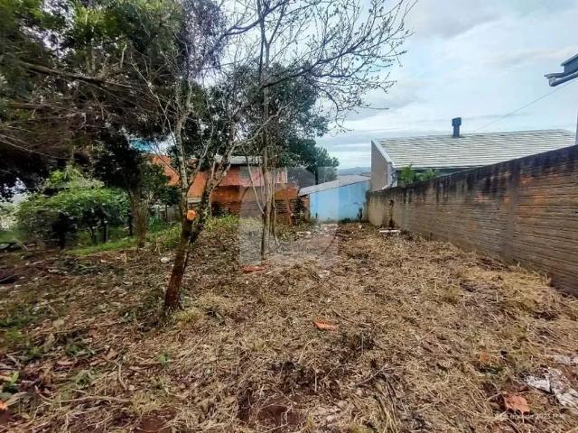 Terreno venda em Região Geográfica Imediata de Novo Hamburgo - São Leopoldo, Região Metropolitana de Porto Alegre