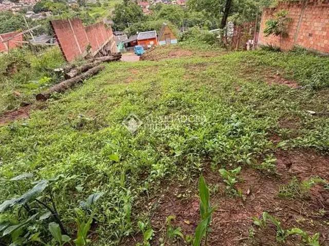 Terreno venda em São Leopoldo