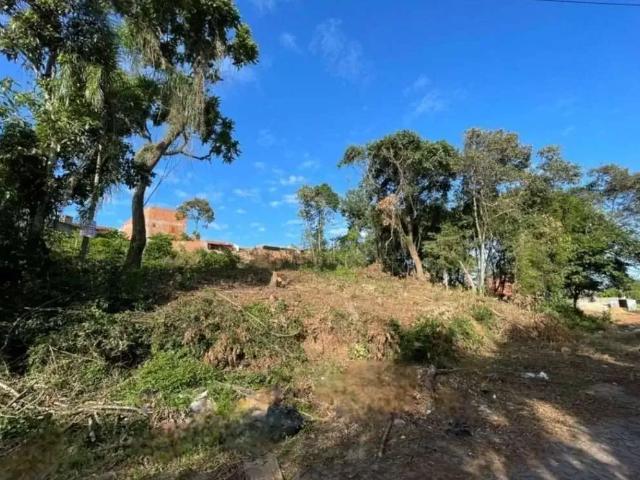 Terreno venda em São Leopoldo
