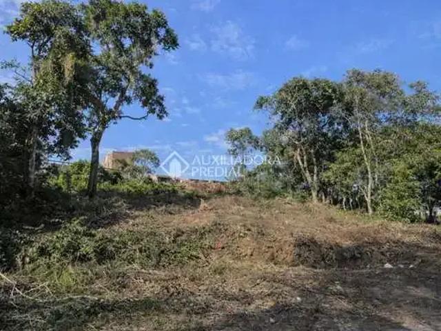 Terreno venda em São Leopoldo