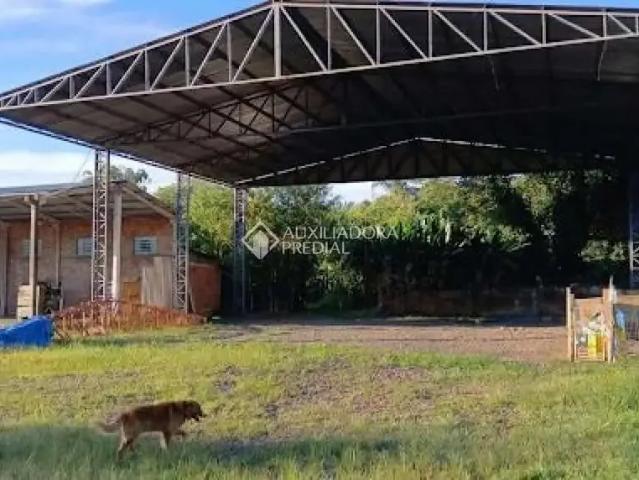 Terreno venda em São Leopoldo