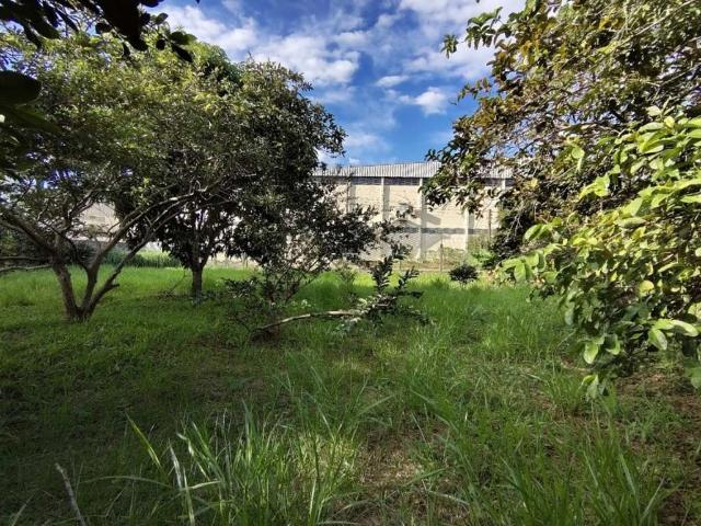 Terreno venda em São Leopoldo