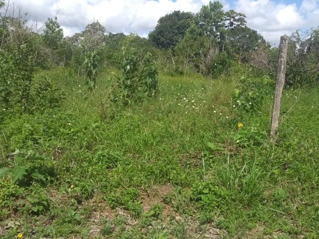 Terreno venda em Região Geográfica Imediata do Recife, Região Metropolitana do Recife
