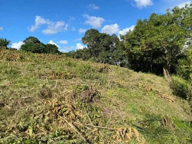 Terreno venda em Região Geográfica Imediata do Recife, Região Metropolitana do Recife